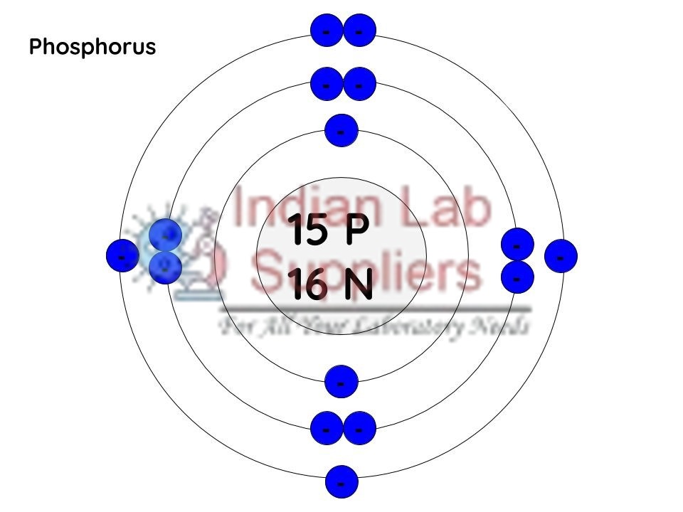 Structure of Phosphorus Model STEM Science Lab Demonstration Model